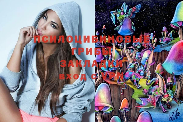 твердый Покровск