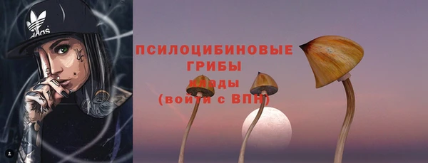 твердый Покровск