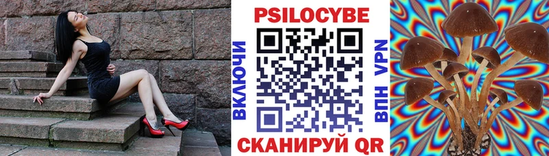 Псилоцибиновые грибы прущие грибы Ртищево