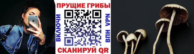 Галлюциногенные грибы GOLDEN TEACHER  Купить где  Ртищево 